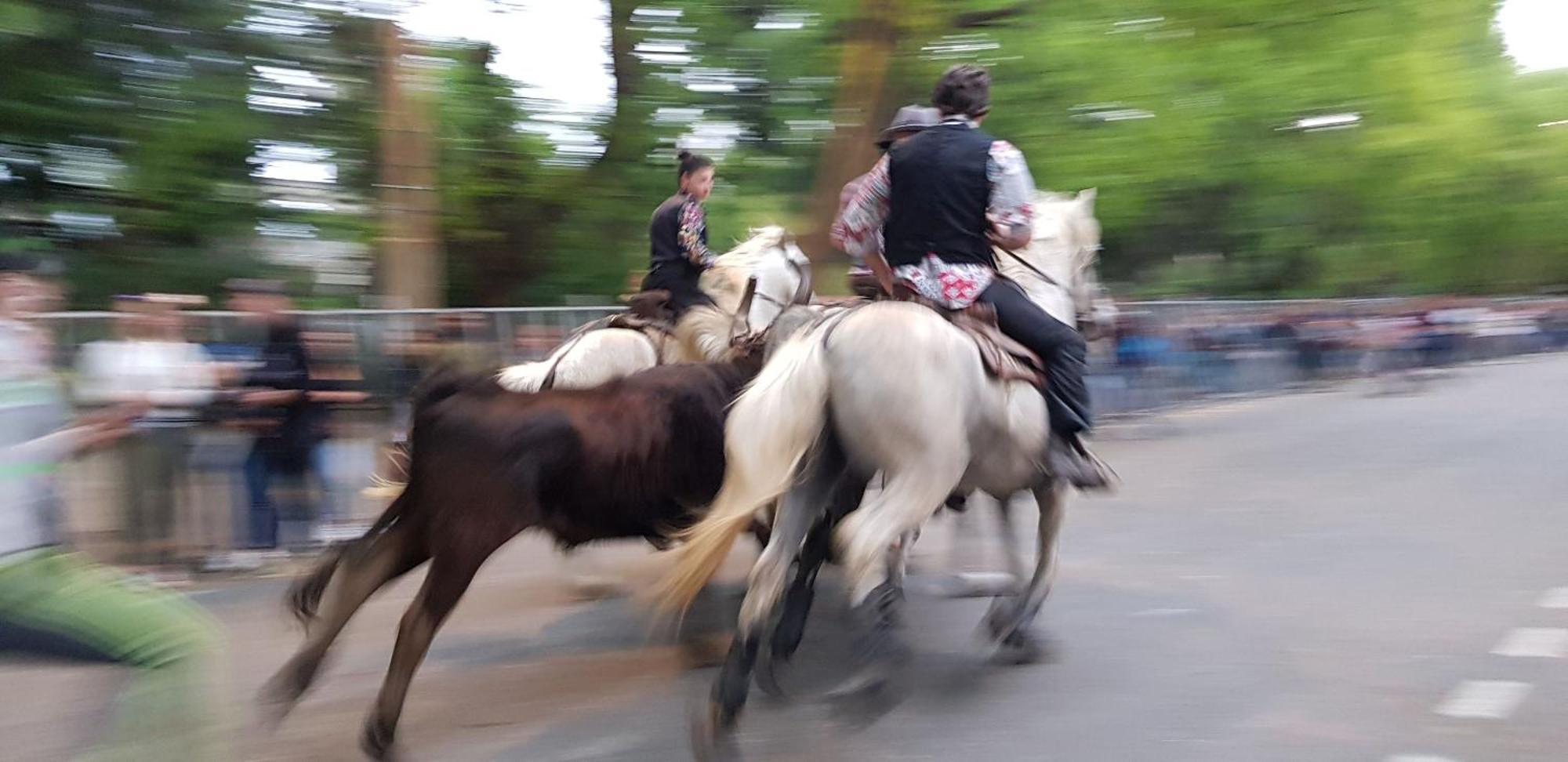 Le Cheval Blanc Hotel Arles Kültér fotó